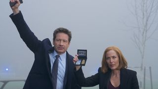 113. Секретные материалы (1993)