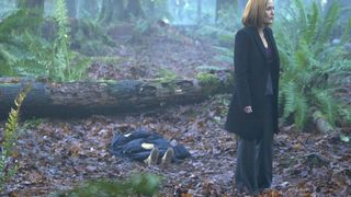 117. Секретные материалы (1993)