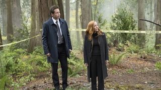 123. Секретные материалы (1993)