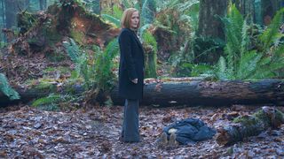 129. Секретные материалы (1993)