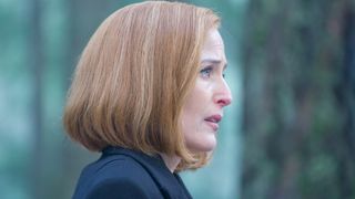 138. Секретные материалы (1993)