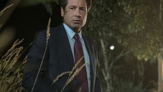 91. Секретные материалы (1993)