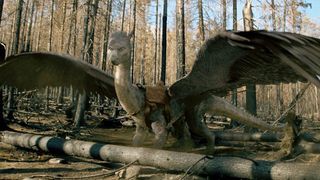 64. Эрагон (2006)