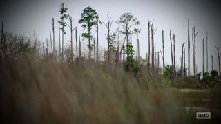 38. По дороге с Норманом Ридусом (2016)