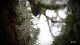 45. По дороге с Норманом Ридусом (2016)