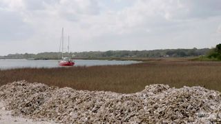 46. По дороге с Норманом Ридусом (2016)