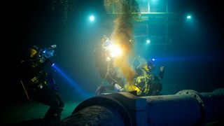 87. Опасное погружение (2015)