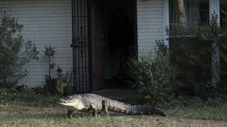 78. Атланта (2016)