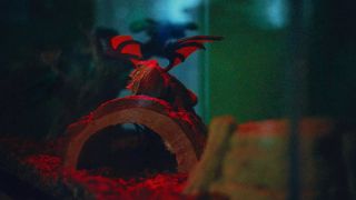 84. Атланта (2016)