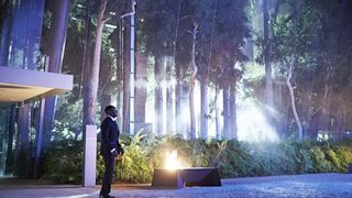 25. Конец детства (2015)