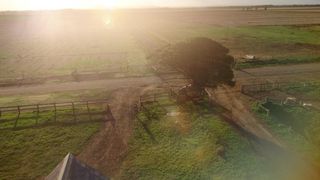 62. Конец детства (2015)