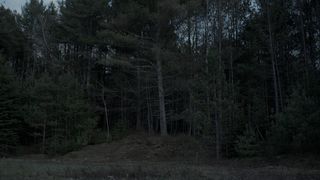 30. Ведьма (2015)