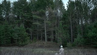 34. Ведьма (2015)