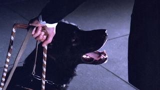 11. Суспирия (1977)