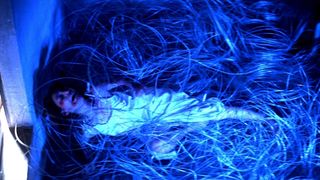 12. Суспирия (1977)