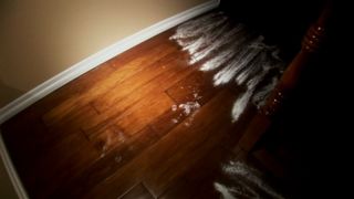 32. Паранормальное явление (2007)