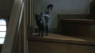 45. Проклятие (2004)