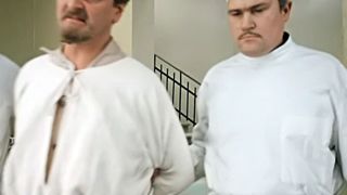 119. Иван Васильевич меняет профессию (1973)