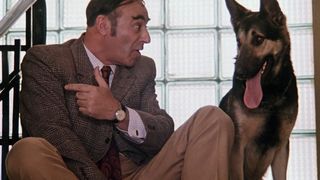 72. Иван Васильевич меняет профессию (1973)