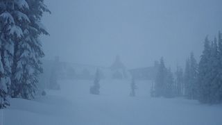 53. Сияние (1980)