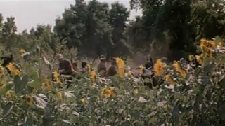 12. Я – Хортица (1981)