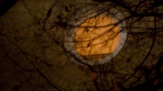 132. Призраки в Коннектикуте (2009)