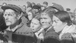 31. Это было в Донбассе (1945)