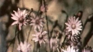 24. Экипаж машины боевой (1983)