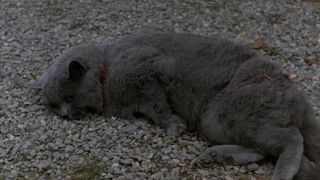 16. Кладбище домашних животных (1989)
