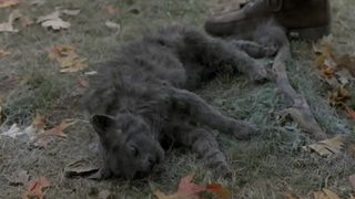 85. Кладбище домашних животных (1989)