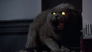 9. Кладбище домашних животных (1989)