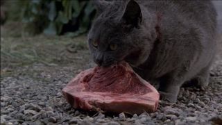 94. Кладбище домашних животных (1989)