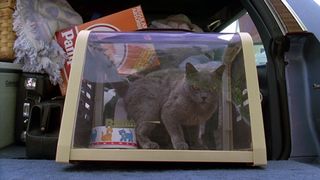 96. Кладбище домашних животных (1989)