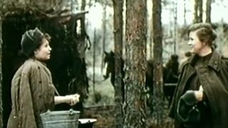 86. Фронт за линией фронта (1977)