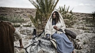 12. Сын Божий (2014)