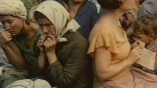 133. Факт (1980)