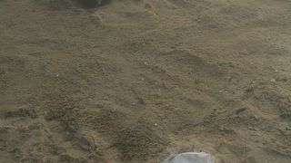 95. Утомленные солнцем 2: Предстояние (2010)