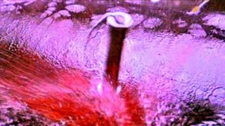 42. Глубокое синее море (1999)