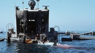 70. Глубокое синее море (1999)