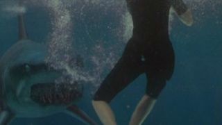 71. Глубокое синее море (1999)