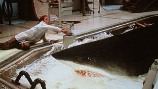 72. Глубокое синее море (1999)