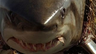 74. Глубокое синее море (1999)