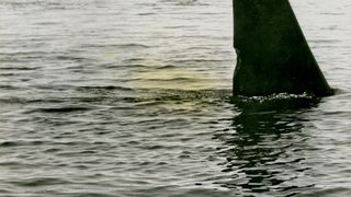 14. Смерть среди айсбергов (1977)