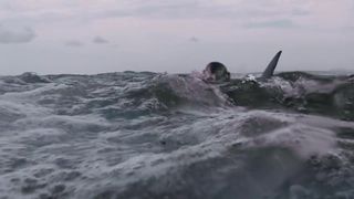 12. Над глубиной: Хроника выживания (2017)