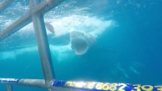 14. Над глубиной: Хроника выживания (2017)