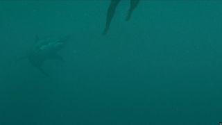 19. Над глубиной: Хроника выживания (2017)