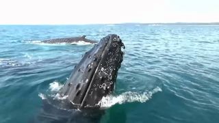 8. Над глубиной: Хроника выживания (2017)