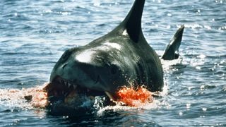 10. Челюсти (1975)