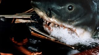 14. Челюсти (1975)