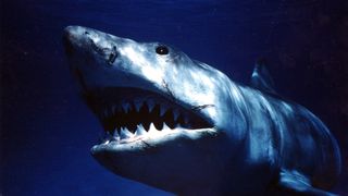 24. Челюсти (1975)